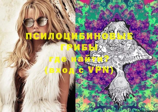 синтетический гашиш Дмитровск