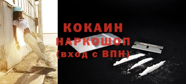 гидропоника Дмитриев