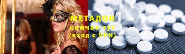 прущие грибы Дмитров