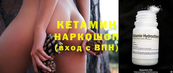 прущие грибы Дмитров