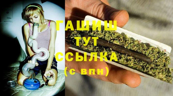 сатива Елизово