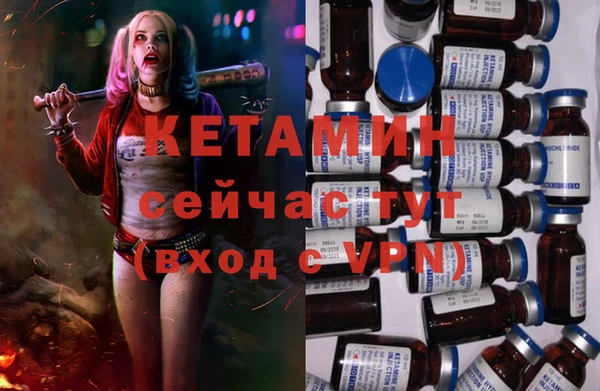 прущие грибы Дмитров