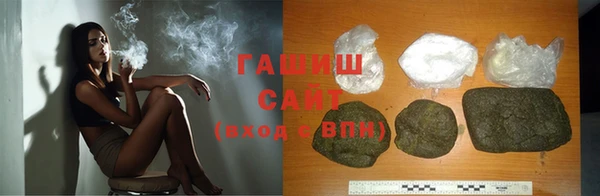 прущие грибы Ельня