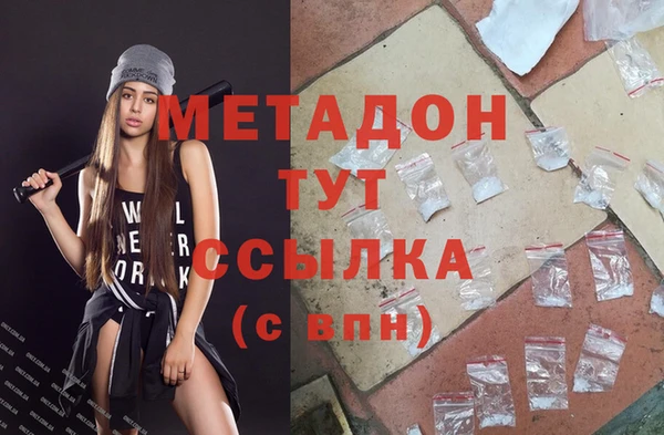 прущие грибы Ельня