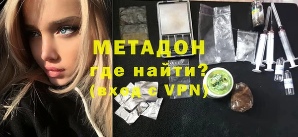 прущие грибы Ельня