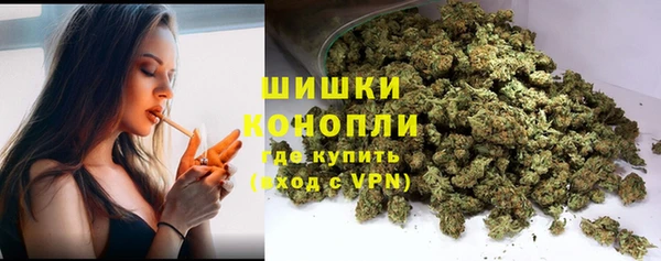 гидропоника Дмитриев