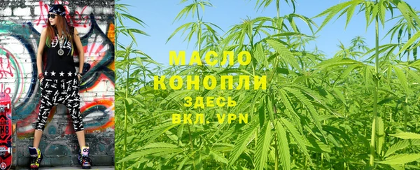 гидропоника Дмитриев