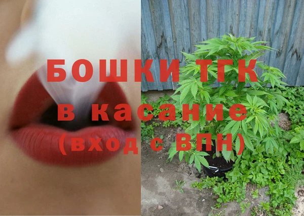 прущие грибы Дмитров