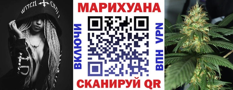 Конопля VHQ  как найти   Иланский 